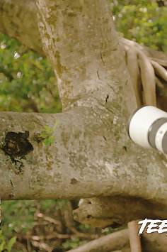 Alex Blake interracial bondage | Fetish Network: Teen Creeper - image 